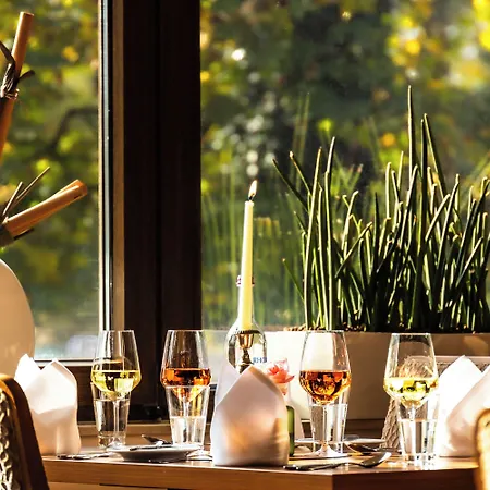 Hotel Sport- Und Tagungshotel De Poort 4*